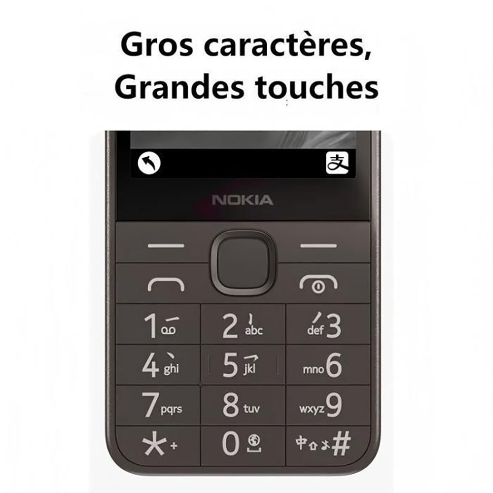 Nokia 235 4G Backup Phone Blue - Type C Adapter review and price